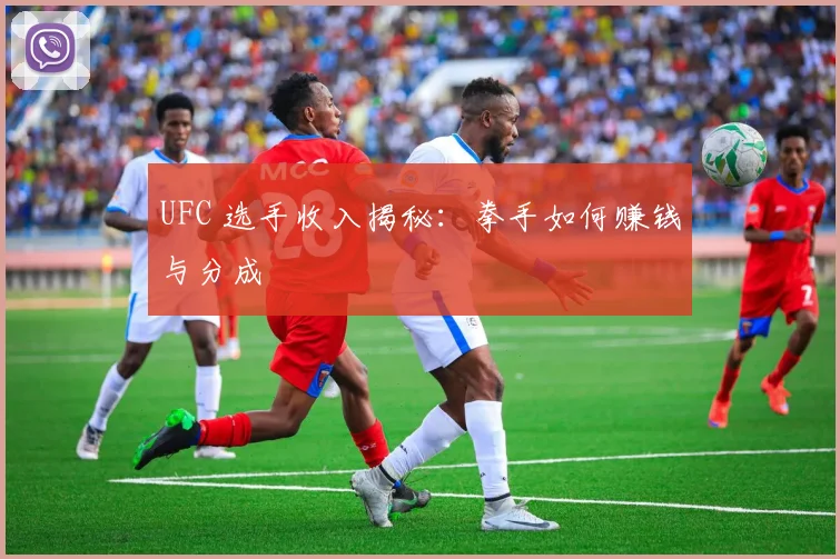 UFC 选手收入揭秘：拳手如何赚钱与分成