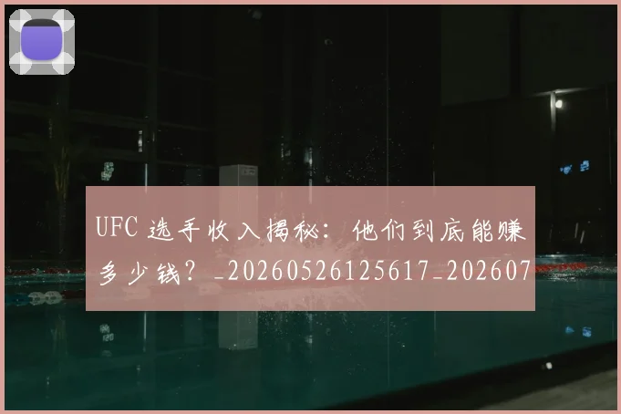 UFC 选手收入揭秘：他们到底能赚多少钱？_20260526125617_20260702171539