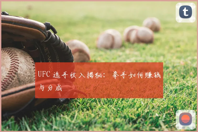 UFC 选手收入揭秘：拳手如何赚钱与分成